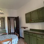 Rent 3 bedroom apartment of 160 m² in torino