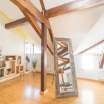 Rent 3 bedroom apartment of 86 m² in Potsdam