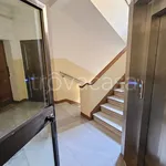 Rent 4 bedroom apartment of 100 m² in Bologna