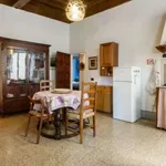 Rent 2 bedroom apartment of 90 m² in florence