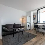 Rent 1 bedroom apartment of 30 m² in Nürnberg