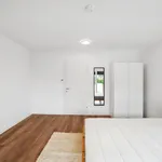 Rent 3 bedroom apartment in Graz