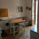 Rent 1 bedroom apartment of 40 m² in Firenze