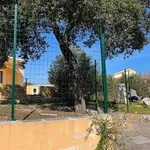 Affitto 3 camera appartamento di 70 m² in Olbia