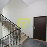 Rent 1 bedroom apartment of 25 m² in Praha