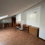 Rent 1 bedroom apartment of 40 m² in Pavia