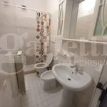 Rent 2 bedroom apartment of 35 m² in Chioggia