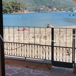 Rent 9 bedroom apartment of 230 m² in Rapallo