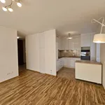 Rent 2 bedroom apartment of 48 m² in Szczecin