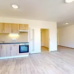 Rent 2 bedroom apartment in Pilsen