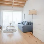 Rent 2 bedroom apartment of 70 m² in Porto