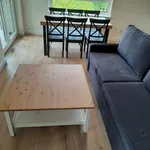 Rent 3 bedroom apartment of 60 m² in Szczecin