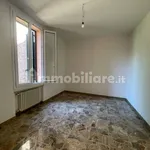 Rent 3 bedroom apartment of 90 m² in Bologna