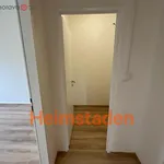 Rent 4 bedroom apartment of 68 m² in Trhový Štěpánov