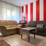 Rent 3 bedroom apartment of 85 m² in Arcene