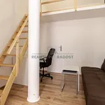 Rent 1 bedroom apartment of 21 m² in Brno