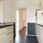 Rent 5 bedroom house of 112 m² in Wassenaar