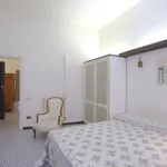 Rent 1 bedroom apartment in Rome