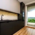 Rent 3 bedroom apartment of 63 m² in Rzeszów