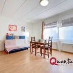 Rent 1 bedroom apartment in Capital City of Prague