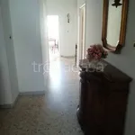 Rent 3 bedroom apartment of 90 m² in Nettuno