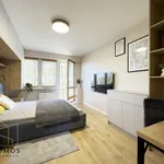 Rent 2 bedroom apartment of 39 m² in Tarnów