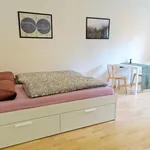 Rent 2 bedroom apartment of 30 m² in Mainz