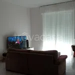 Rent 3 bedroom apartment of 110 m² in Livorno