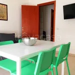 Rent 2 bedroom apartment of 55 m² in Novara