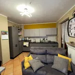 Rent 3 bedroom apartment of 70 m² in Busca