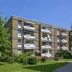 Rent 3 bedroom apartment of 73 m² in Dortmund