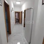 Rent 3 bedroom apartment of 70 m² in Torino