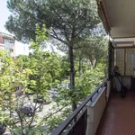 Rent a room in rome