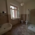 Rent 4 bedroom apartment in TORINO