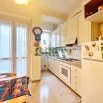 Rent 3 bedroom apartment of 60 m² in Turin