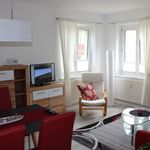 Rent 1 bedroom apartment of 463 m² in Dresden