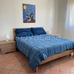 Rent 5 bedroom apartment of 80 m² in Caltagirone