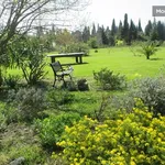 Rent 1 bedroom apartment of 35 m² in Salon-de-Provence