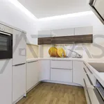 Pronajměte si 4 ložnic/e byt o rozloze 142 m² v Prague