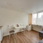 Rent 1 bedroom apartment of 20 m² in Vilnius