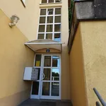 Rent 1 bedroom apartment of 60 m² in Suhl