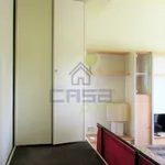 Rent 2 bedroom apartment of 35 m² in Cremona