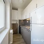 Rent 2 bedroom apartment of 43 m² in Prague