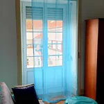 Rent 4 bedroom apartment in Coimbra