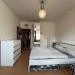 Pronajměte si 3 ložnic/e byt o rozloze 80 m² v Prague