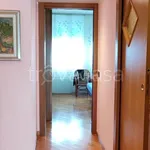 Rent 3 bedroom apartment of 110 m² in Cinisello Balsamo