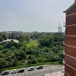 Rent 2 bedroom apartment of 60 m² in Milan