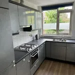 Rent 2 bedroom apartment of 70 m² in nijmegen