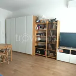 Rent 1 bedroom apartment of 36 m² in Milano