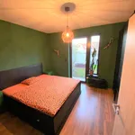 Rent 3 bedroom apartment in Capital City of Prague